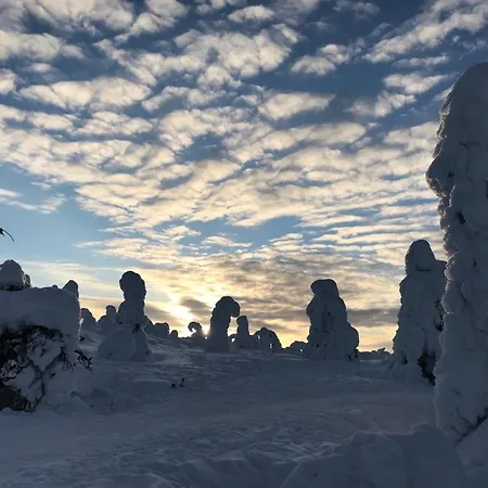 Naekoealahuoneisto 426 公寓