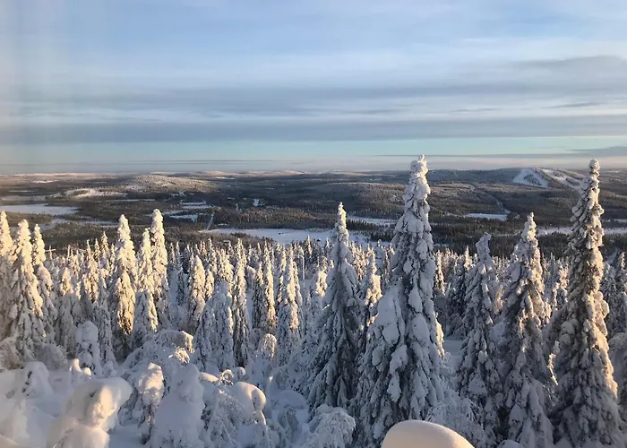 Daire Naekoealahuoneisto 426 *