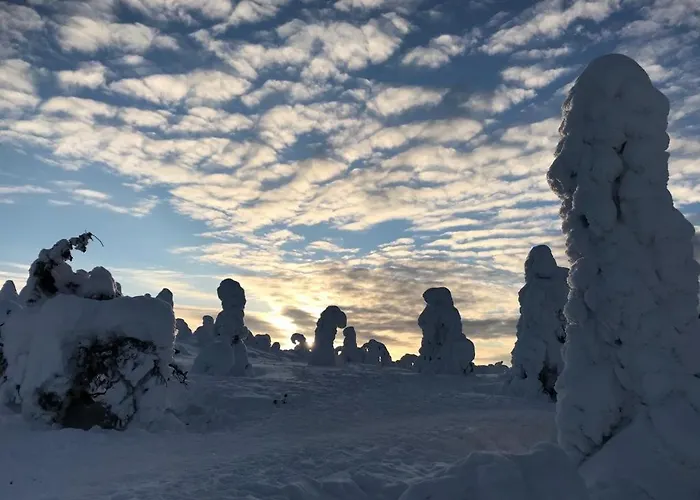 Naekoealahuoneisto 426 Daire