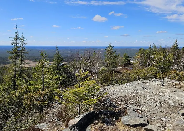 Naekoealahuoneisto 426 *