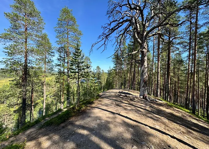 Näköalahuoneisto 426 Iso-Syöte